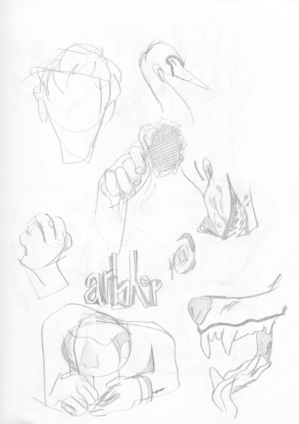 File:20190119 arbhor skb-november095.png